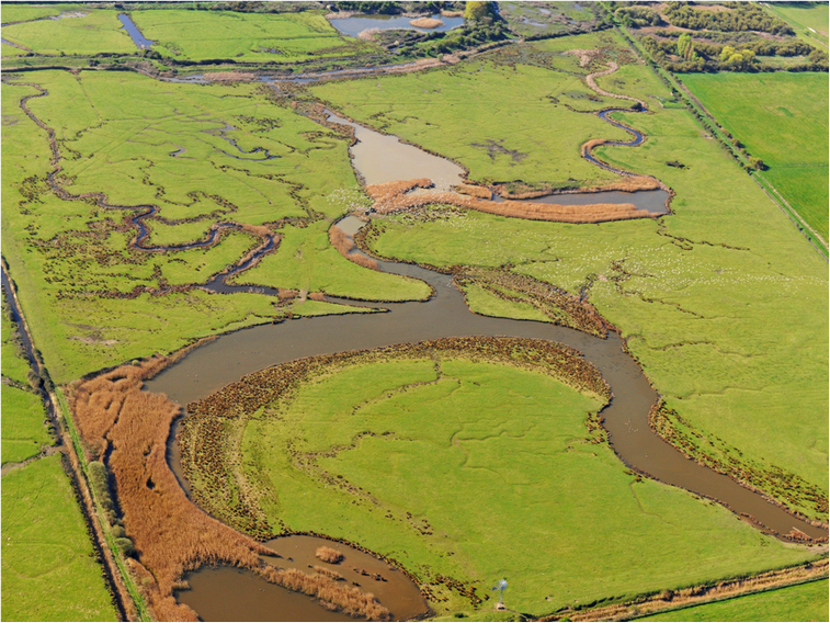 Holme Marsh Nature Reserve