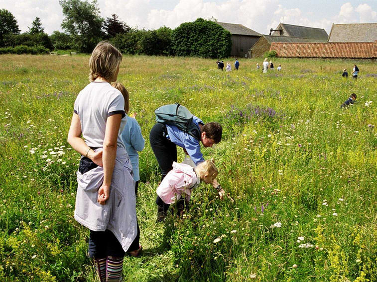 The Courtyard Farm Trust